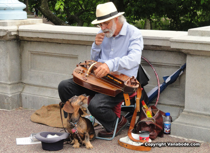 boston street musician and his chick magnet dog