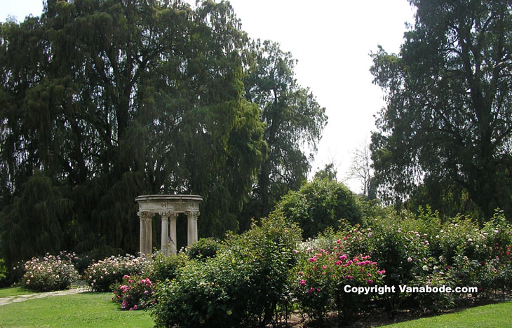 Rose garden at Huntington Library California picture