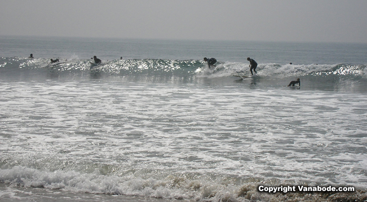 malibu beach surfers picture