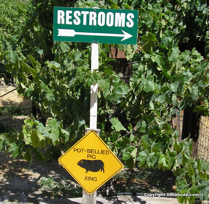 Sign at Paso Robles winery  picture
