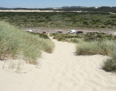overlooking acres of dunes national recreation area picture
