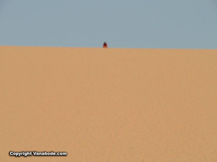 Sleeping Bear Dune of sand