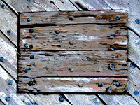 old wood from Fort Macon